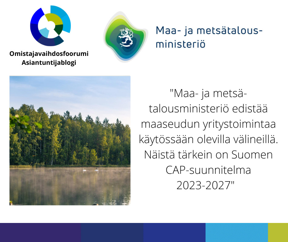 Asiantuntijablogi pohja