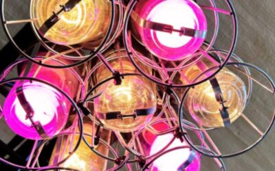 Kasvun tahtotilalla luovasti maailmalle?