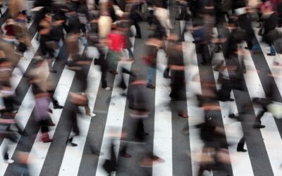 Vahvempaa yhteistyötä ja vaikuttamista – Transeo Winter Summit 2024 esitteli ratkaisuja Euroopan haasteisiin omistajanvaihdoksilla 