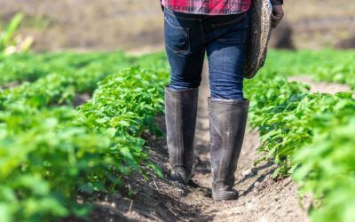 Jannen suuret saappaat