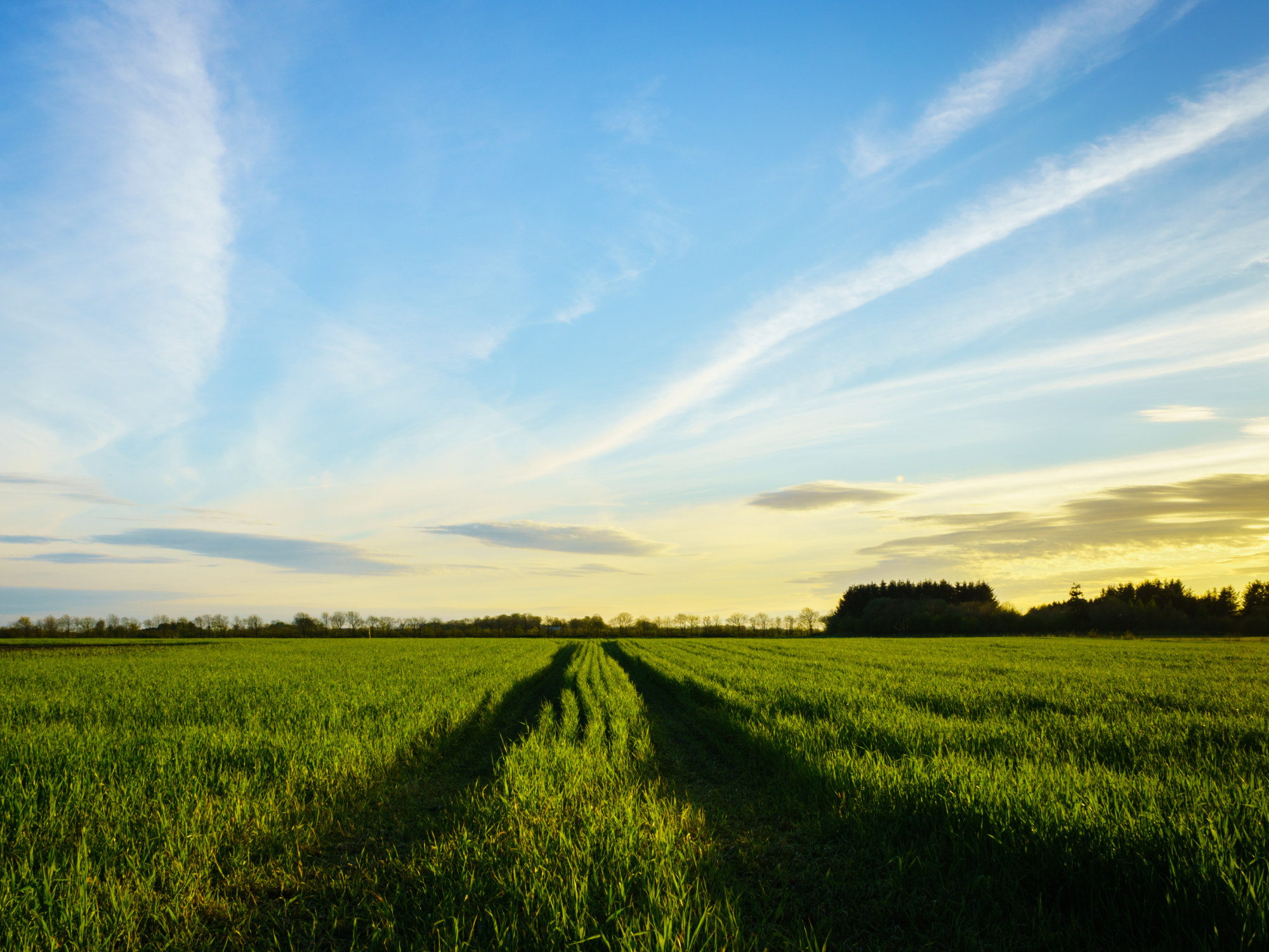 Nimetön (2000 x 1500 px) (3)